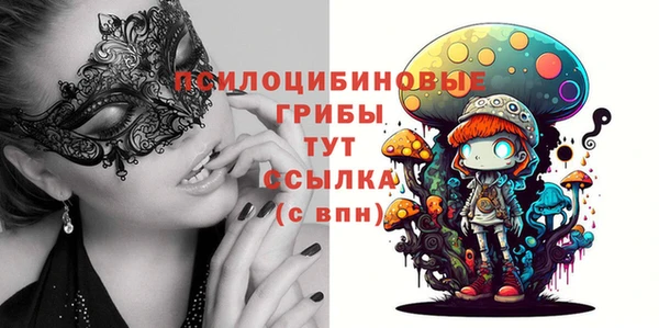 мяу мяу мука Надым