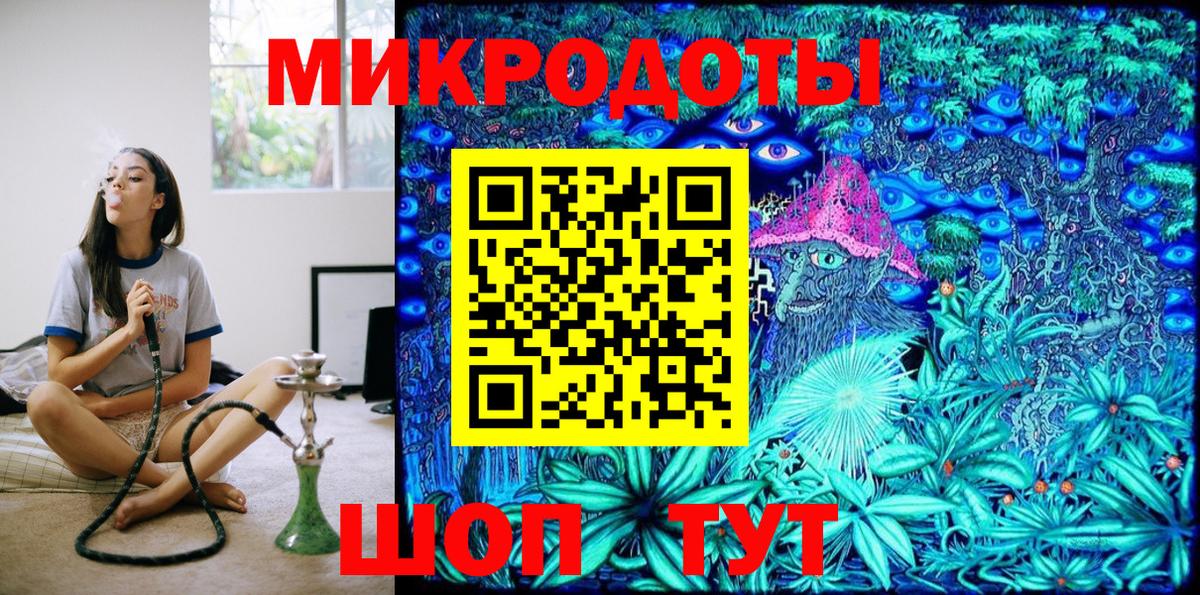 Псилоцибиновые грибы Psilocybe Тольятти
