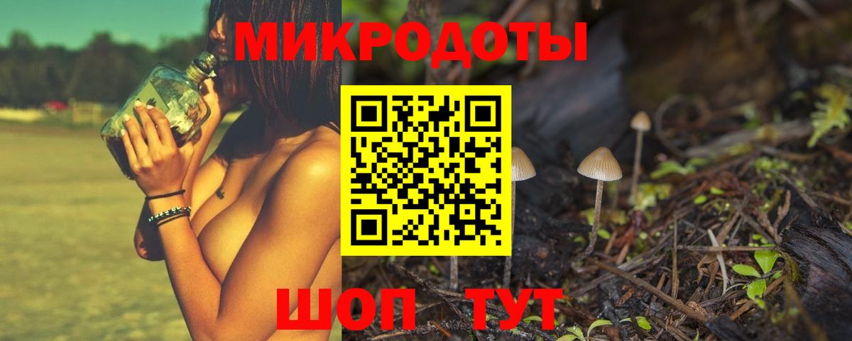 ГАШ Тольятти